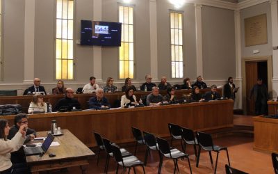 Commercio di vicinato, una mozione per le Zone economiche speciali di prossimità