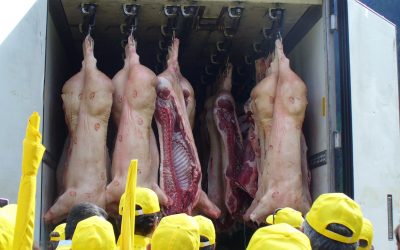 Coldiretti Ferrara: “Necessario modificare il codice doganale per i prodotti agricoli”