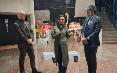 Quando lo scarto diventa bellezza: inaugurata la mostra Scart del Gruppo Hera