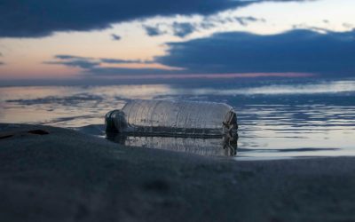 Incontemporanea 2026: arte, libri e territorio in dialogo