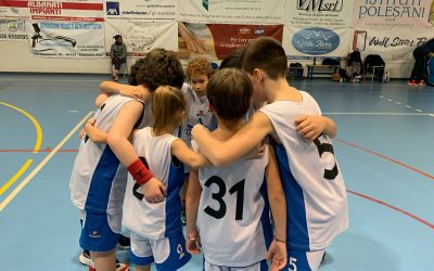 Camminare Insieme fa tappa a Ferrara: il minibasket cresce in palestra
