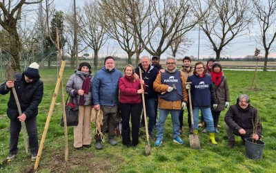 A Malborghetto i volontari piantano nuovi alberi