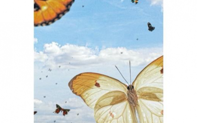 Al Libraccio l’incontro dedicato a “Tutto per i bambini” di Delphine De Vigan