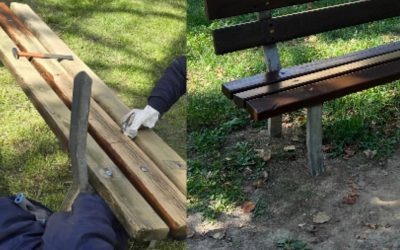 “Il Verde è di Tutti”: a Ferrara un’iniziativa solidale per il parchetto di via Renata di Francia