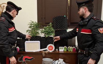 Uno ha una serra in casa, l’altro tiene la droga nel camper. Due denunce per spaccio