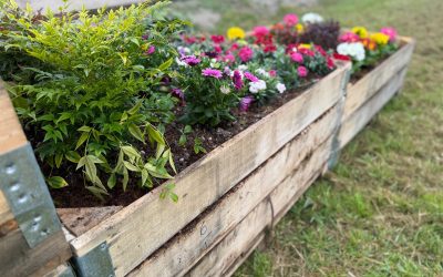 Coltivare competenze, seminare autonomia: nasce l’Orto dell’inclusione