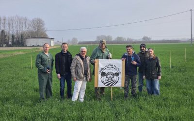 Piantumazione degli alberi vocati al tartufo nell’area verde di Sant’Agostino