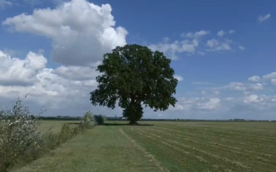 “A come Agricoltura” del regista ferrarese Eugenio Melloni a Villa Belfiore di Ostellato