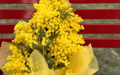 Giornata Internazionale della Donna, le iniziative delle Aziende Sanitarie ferraresi