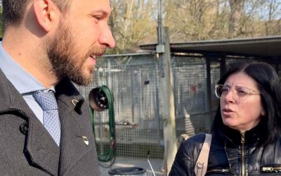 Smentite le criticità nel canile della Lega del Cane