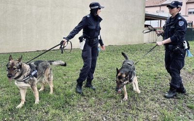 Scambio di droga sotto gli occhi degli agenti della Polizia Locale: pusher denunciato