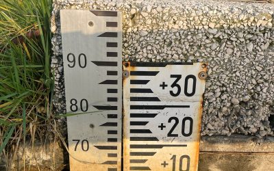 Valli di Comacchio, il Parco rassicura: livello dell’acqua tornato sotto la media