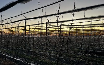 Antibrina e irrigazione anticipata. Già invasati 1000km di canali