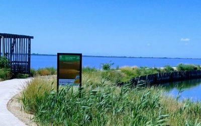 Iniziate le riprese di “Astrea”, il nuovo film di Davide Manuli