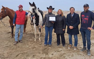 Horse Beach Club, al Lido di Spina l’equitazione torna sulla sabbia