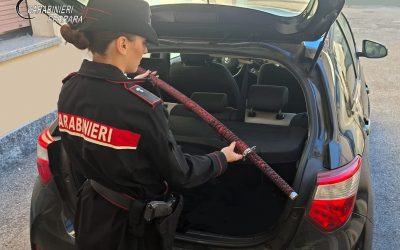 In auto con la katana