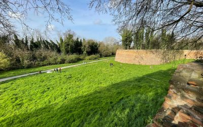 Nel sottomura nasce il diagramma umano: così Ferrara racconta il suo spazio pubblico