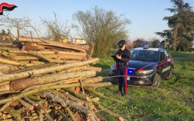 Sorpresi mentre rubano legna con una motosega: arrestati due uomini ad Ambrogio