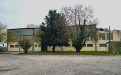 Parcheggi palazzetto dello sport, ok al progetto per la riqualificazione