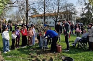 Una panchina e un ulivo in memoria di Taisir Manai