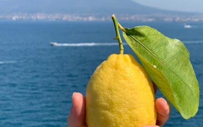 Il SignorNO della Generazione Gaza