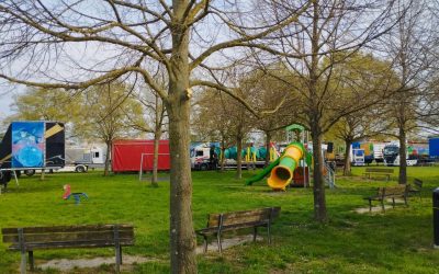 Giostre di San Giorgio, interrogazione del Pd: “Quartiere privato del parco e degli alberi”