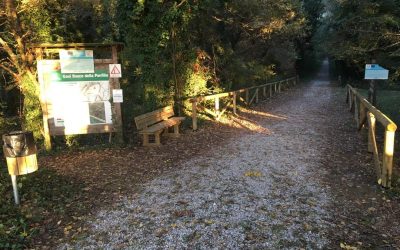 Bosco Panfilia, Terre del Reno rilancia: gestione più sostenibile