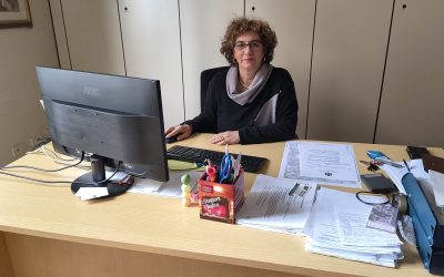 Processionaria, svolti interventi al parco di via Matteotti e in via Togliatti