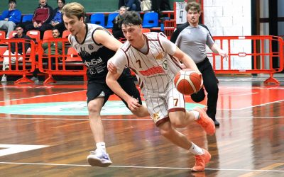 Despar 4 Torri, la settimana delle giovanili e del minibasket granata