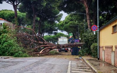 Maltempo, incidente tra due auto in Super. Pulmino con gli alunni bloccato a Bosco Mesola