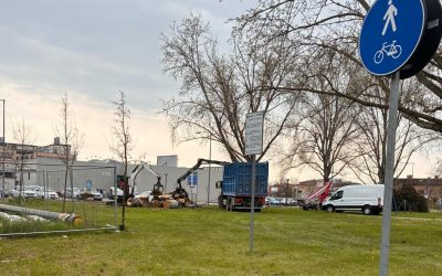 Alberi abbattuti per la fiera di San Giorgio. La Civica Anselmo chiede chiarimenti