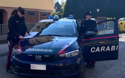 Discute col fratello e vuole avere ragione. Per convincerlo lo minaccia col cacciavite