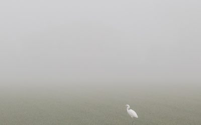 Andrea Bighi al Carbone con “Radici nella Pianura”