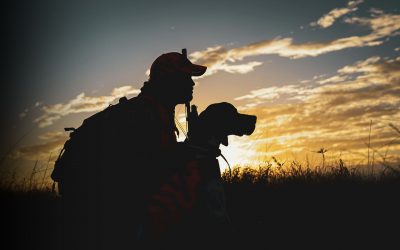 Delta del Po, l’allarme di Gianella: “Daini minacciano equilibrio”