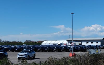 Polo logistico Bertani, avanti con l’ampliamento