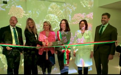 Nasce la “Stanza dei Sogni”: una Pediatria a misura di bambino