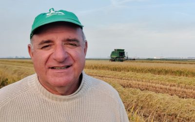 Dl Bollette. Cia: “La volontà di inserire il credito d’imposta è un segnale importante”