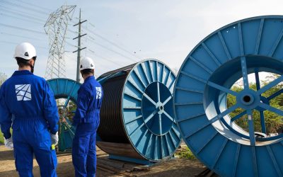 Mesola al centro del nuovo elettrodotto: al via i lavori tra Veneto ed Emilia-Romagna