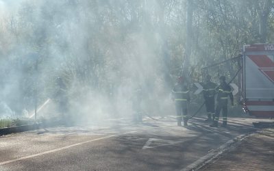 Incendio in un’area verde a Ferrara, fiamme nel pomeriggio tra via Girotti e via Gulinelli