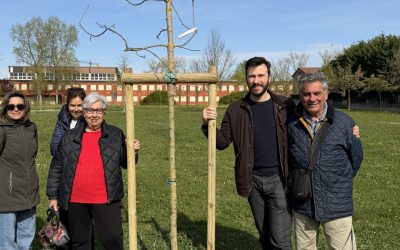 “Albero di Quartiere”. Città più verde grazie alla partecipazione dei cittadini
