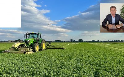 “Lo Stretto di Hormuz strategico anche per l’export di foraggi”