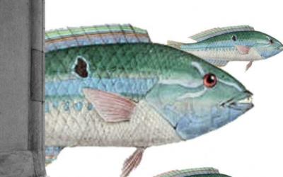 Chiara Sgarbi inaugura la mostra “Camminare sul filo”