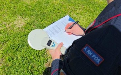 Blitz di carabinieri e Ausl in un allevamento di cani, sequestri e sanzioni