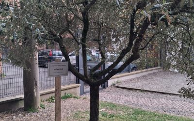 L’istituto comprensivo Il Guercino ricorda le maestre Valentina e Paola