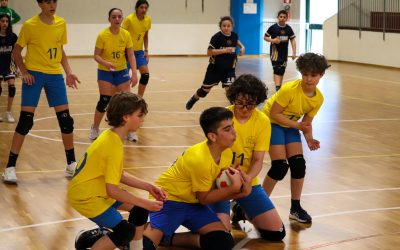 Tchoukball M14, Pulcinuts pronti a mettere la sesta