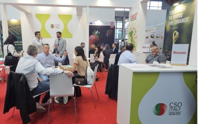 I convegni di Cso Italy a Macfrut, dalla difesa delle colture al mercato delle pesche e nettarine