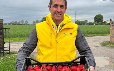 Coldiretti Ferrara, le iniziative “Made in Italy nasce in Campagna”