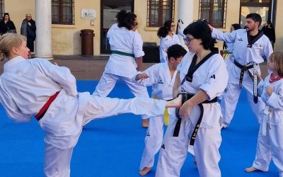 Ferrara capitale del Taekwondo: arriva lo stage tecnico nazionale