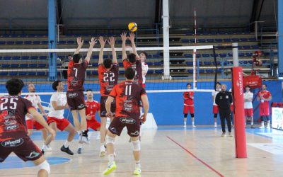 Volley, la Cavallino 4 Torri sfida la seconda della classe Osimo