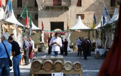 Reti museali, cinque finanziamenti regionali. C’è anche Argenta